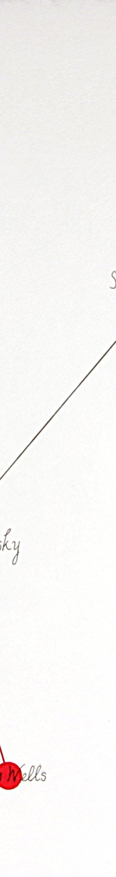 Duchamp Eddy Murry Connectome